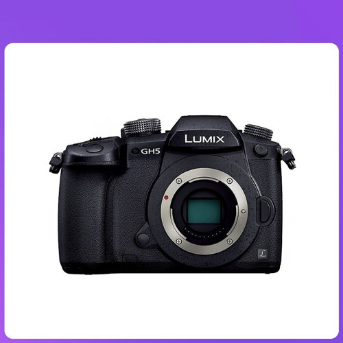 Japan Panasonic Panasonic mirrorless digital camera LUMIX GH5